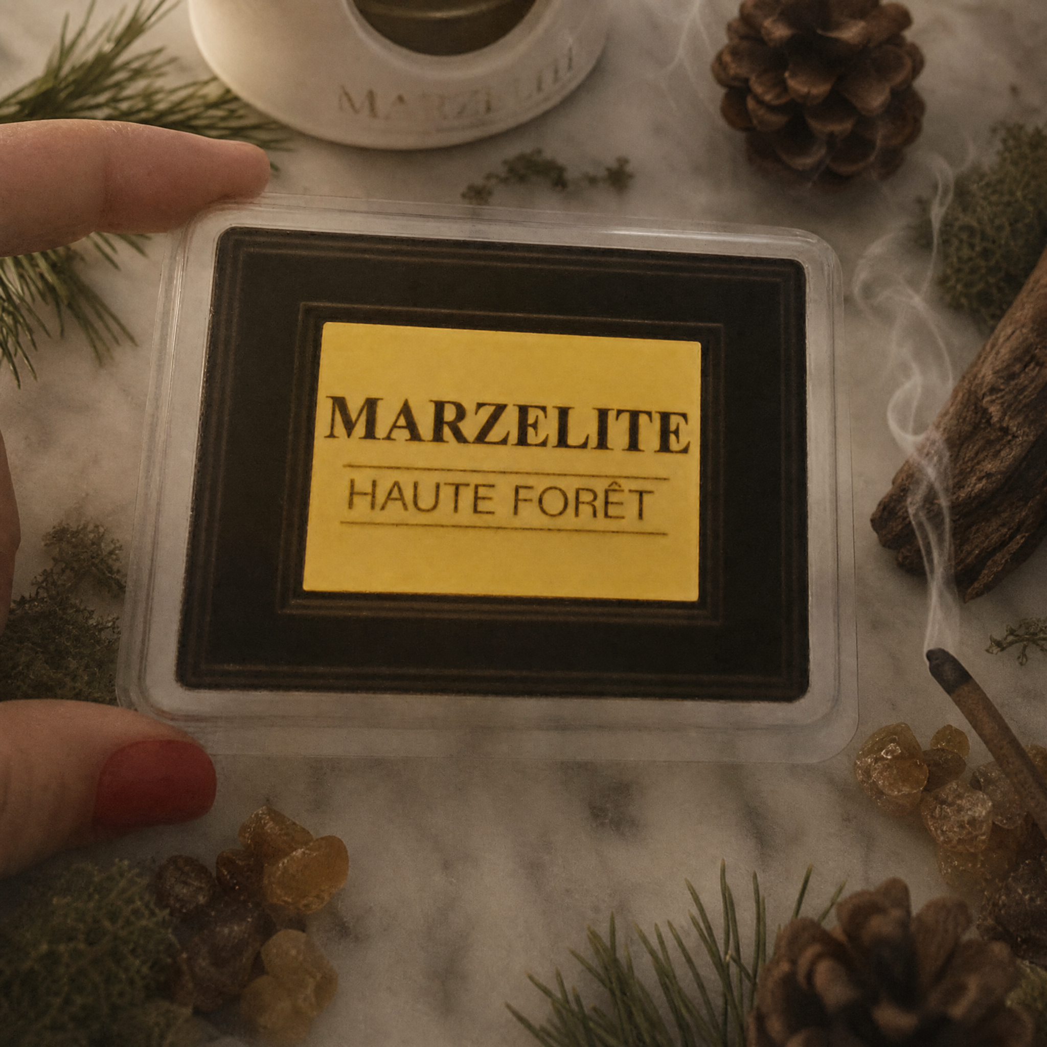 Haute Forêt